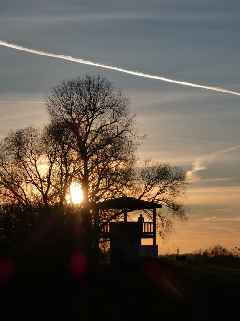 Beobachtungsturm Sophienried